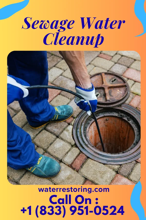 Sewage Water Cleanup in Medicine Lodge, KS